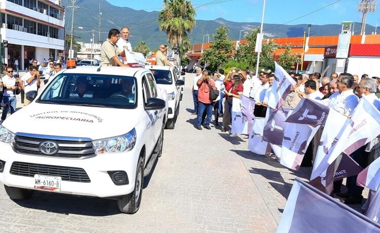 “Apoyaremos a productores de sorgo con 270 MDP”: Américo