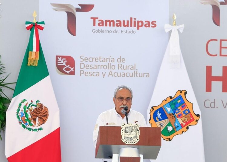 “Apoyaremos a productores de sorgo con 270 MDP”: Américo