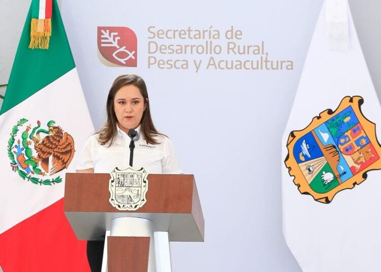 “Apoyaremos a productores de sorgo con 270 MDP”: Américo