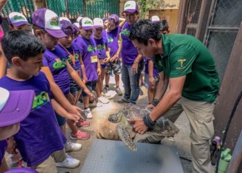 “Forman cursos de verano una mejor sociedad desde la infancia”: CPBT