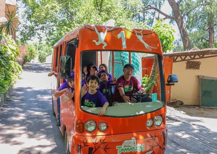 “Forman cursos de verano una mejor sociedad desde la infancia”: CPBT