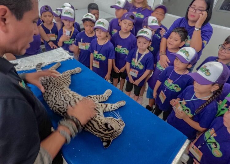 “Forman cursos de verano una mejor sociedad desde la infancia”: CPBT