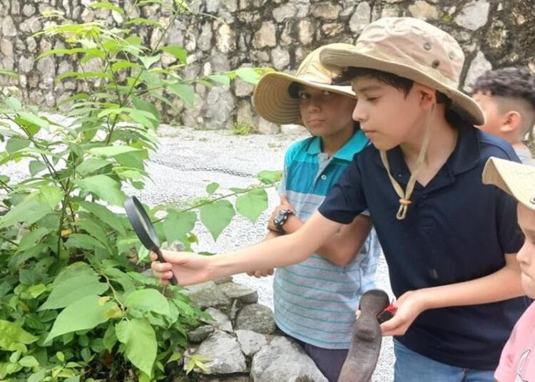 “Forman cursos de verano una mejor sociedad desde la infancia”: CPBT
