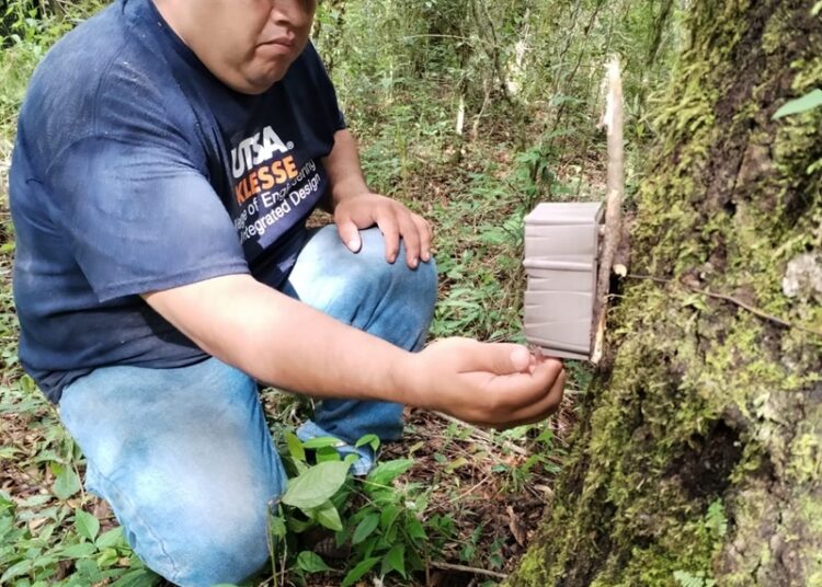 Arranca Comisión de Parques monitoreo del oso negro americano en Tamaulipas
