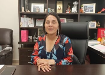 Pide licencia la diputada de Tamaulipas para irse a la Cámara de Diputados