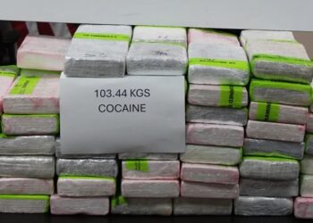 Decomisan más de 43 mdd en cocaína