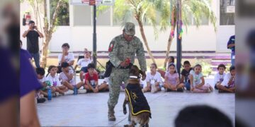 Culmina con éxito campamento de verano del DIF Tamaulipas