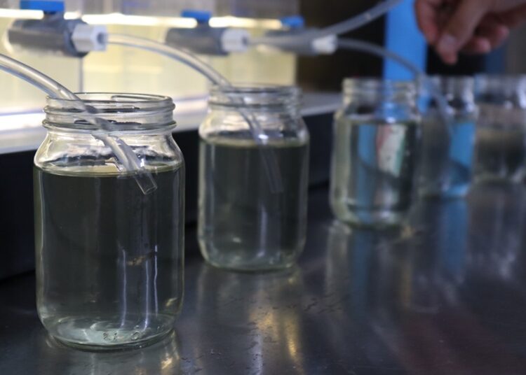 Efectúa COEPRIS monitoreos en plantas potabilizadoras de COMAPA Altamira