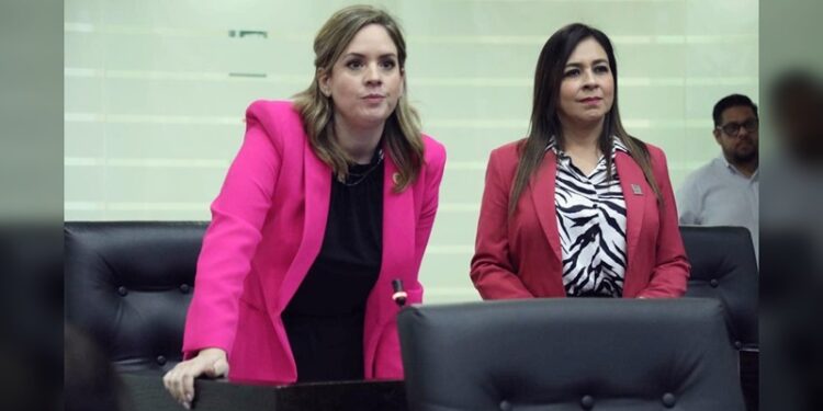 “En Tamaulipas, el PRI debe ir preparando elección del 2027”: Ale Cárdenas