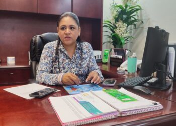 “Verde y PT no recibieron diputaciones plurinominales en Tamaulipas”: IETAM