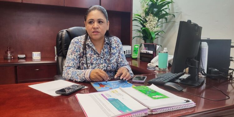 “Verde y PT no recibieron diputaciones plurinominales en Tamaulipas”: IETAM