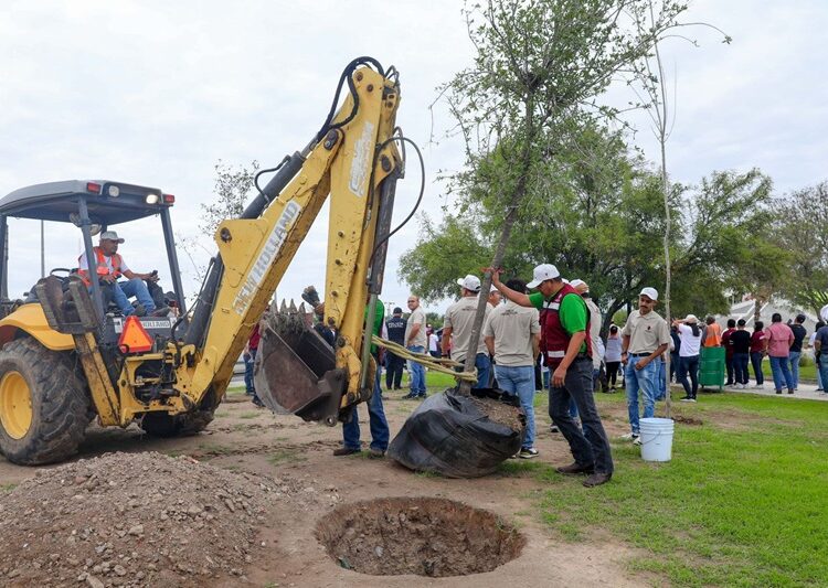 Fortalece Gobierno de NLD cuidado al medio ambiente con programa de reforestación
