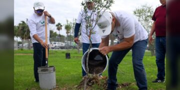 Fortalece Gobierno de NLD cuidado al medio ambiente con programa de reforestación