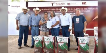 Impulsa Tamaulipas siembra de sorgo y maíz con la entrega de semilla de calidad