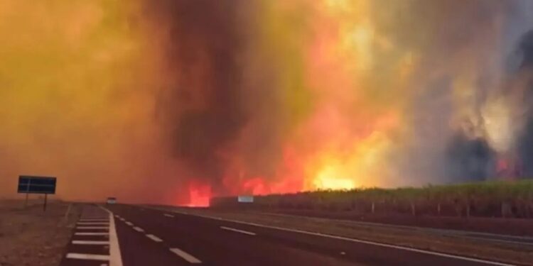 Uriel Antuna, cerca de llegar a Tigres