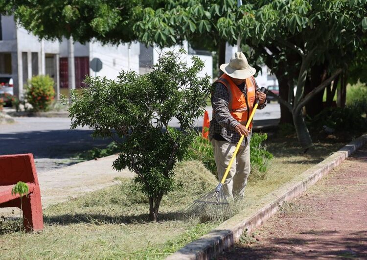 Multiplica Gobierno de Victoria labores de mantenimiento urbano