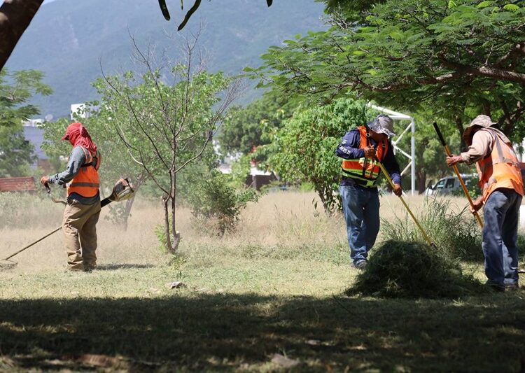 Multiplica Gobierno de Victoria labores de mantenimiento urbano