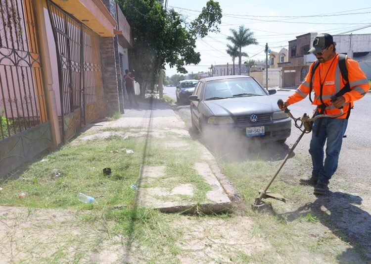 Multiplica Gobierno de Victoria labores de mantenimiento urbano