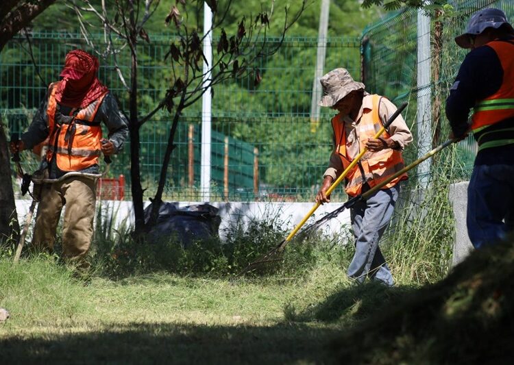 Multiplica Gobierno de Victoria labores de mantenimiento urbano