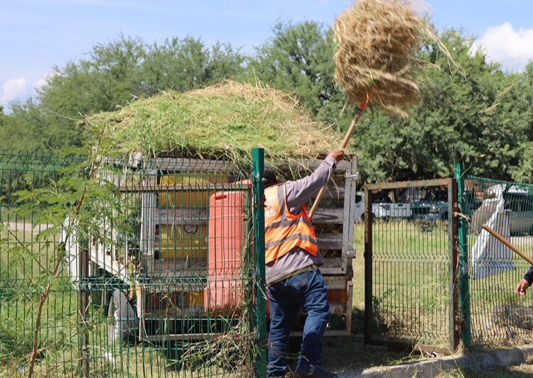 Multiplica Gobierno de Victoria labores de mantenimiento urbano