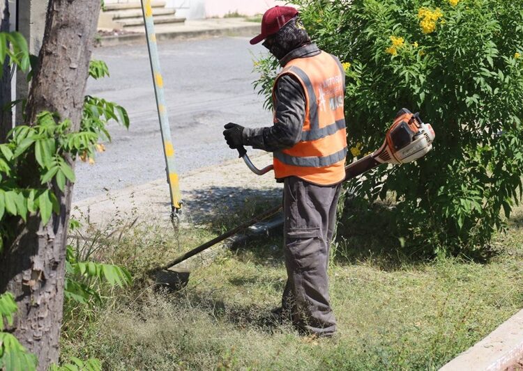 Multiplica Gobierno de Victoria labores de mantenimiento urbano
