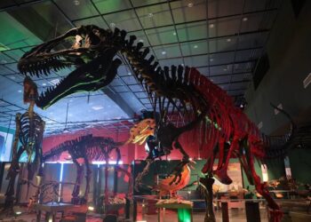 Museos de Nuevo Laredo, una opción para disfrutar en vacaciones