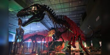 Museos de Nuevo Laredo, una opción para disfrutar en vacaciones