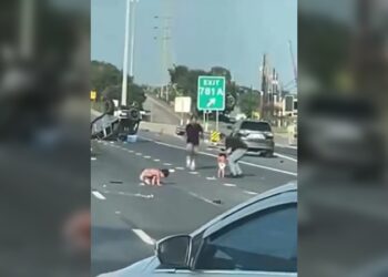 Niños resultaron ilesos tras salir disparados de un auto durante choque en Texas