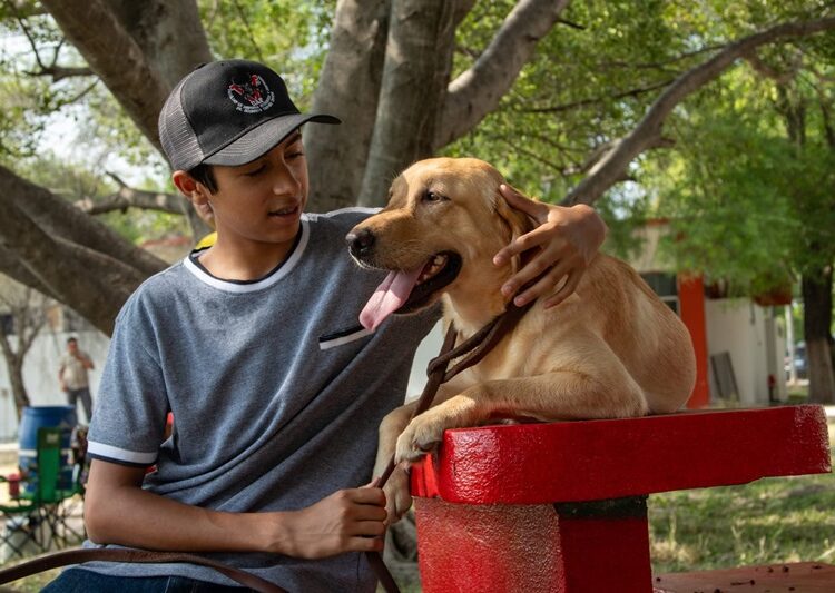 Pondrá la UAT en adopción héroes caninos