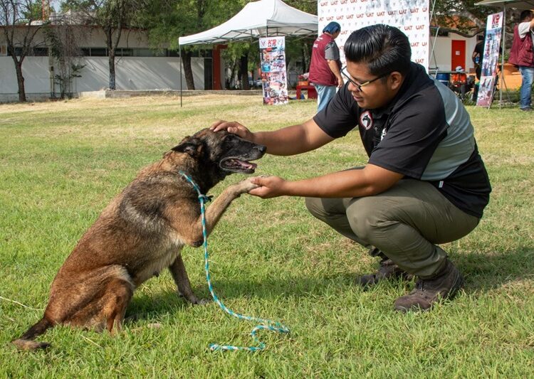 Pondrá la UAT en adopción héroes caninos