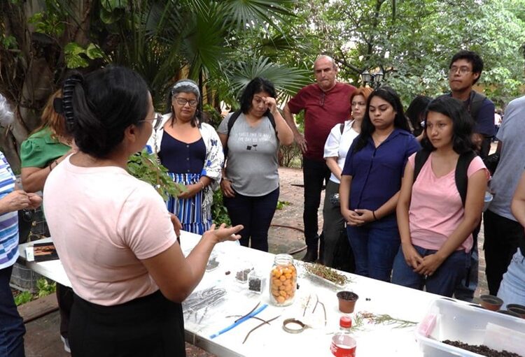 Realiza la UAT el segundo taller de jardines para polinizadores y aves