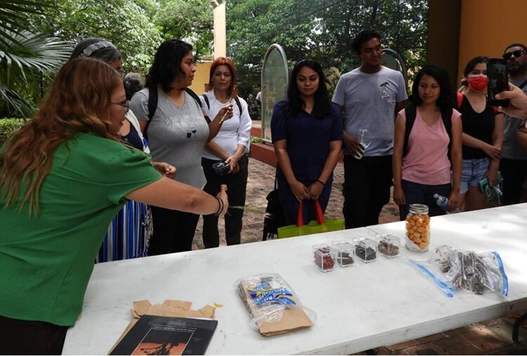 Realiza la UAT el segundo taller de jardines para polinizadores y aves