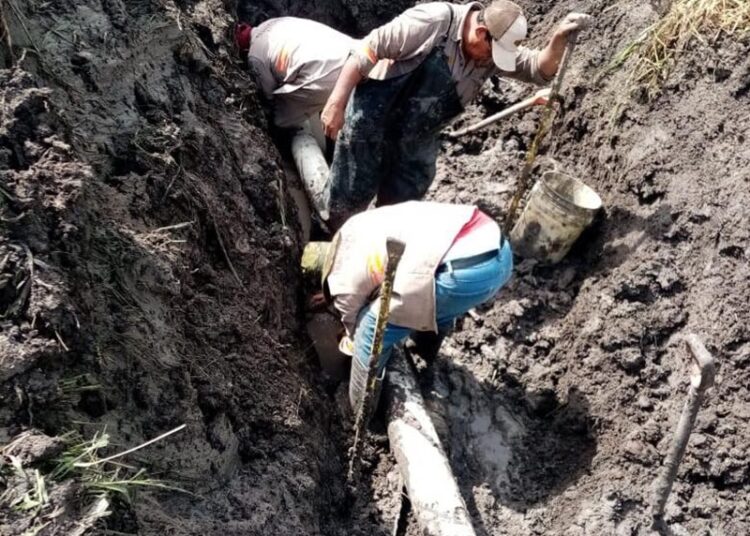 Repara COMAPA Altamira fugas de agua en área urbana y zona rural