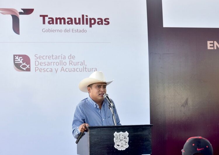 Impulsa Tamaulipas siembra de sorgo y maíz con la entrega de semilla de calidad