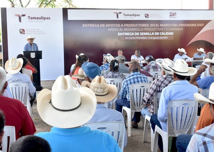 Impulsa Tamaulipas siembra de sorgo y maíz con la entrega de semilla de calidad