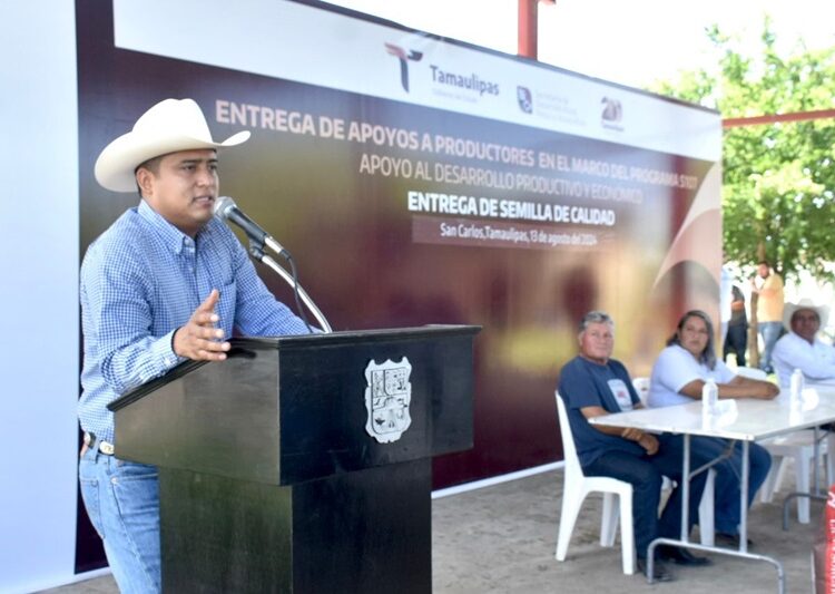 Impulsa Tamaulipas siembra de sorgo y maíz con la entrega de semilla de calidad