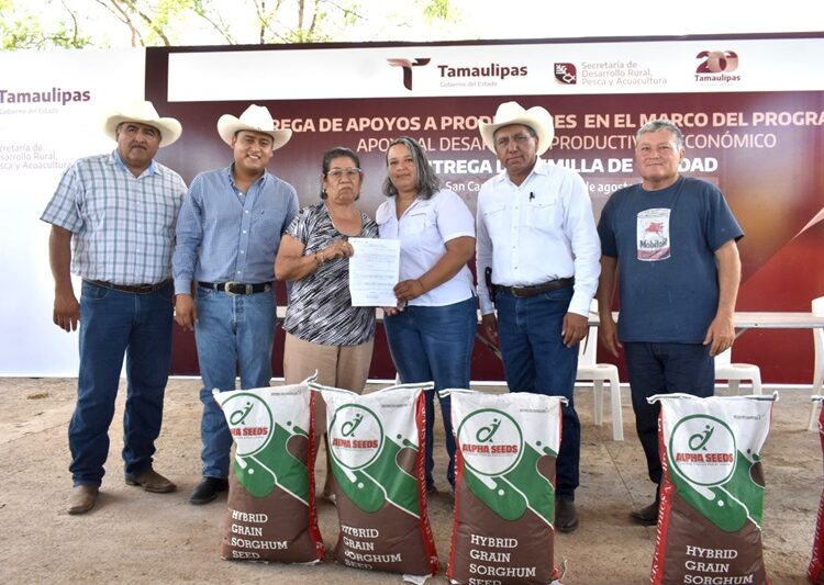 Impulsa Tamaulipas siembra de sorgo y maíz con la entrega de semilla de calidad