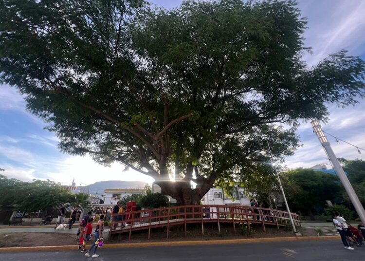 Visitan Ciudad Victoria 93 mil turistas y se consolida como “Barrio Mágico”