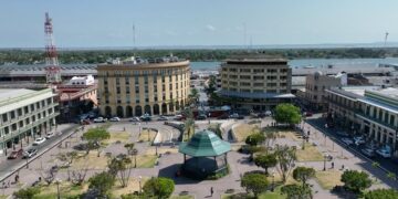 Acciones para combatir la extracción de maguey en Puebla