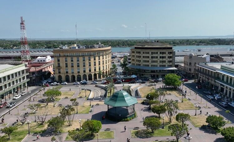 Acciones para combatir la extracción de maguey en Puebla