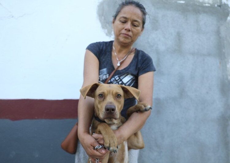 Siguen las acciones a favor de los animales; Invita Gobierno de NLD a adoptar perros y gatos