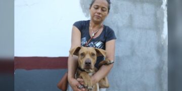 Siguen las acciones a favor de los animales; Invita Gobierno de NLD a adoptar perros y gatos