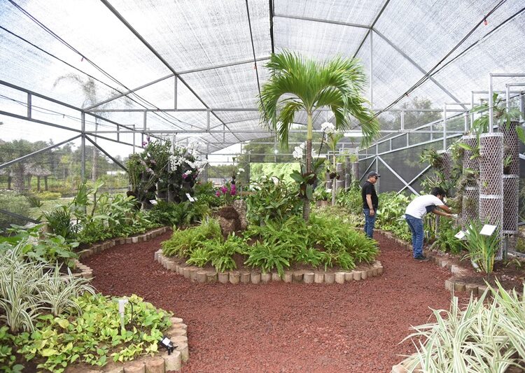 Tampico se confirma como un atractivo destino para la inversión y el turismo