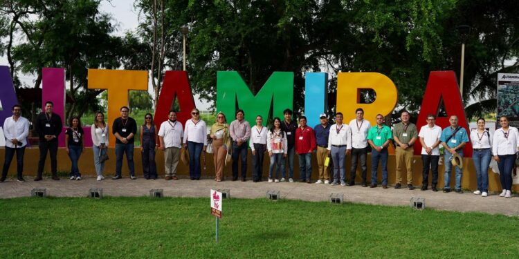 Altamira se transforma con proyecto de marca ciudad