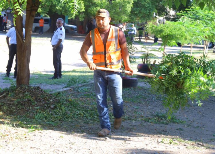 Victoria suma acciones de prevención y control de dengue