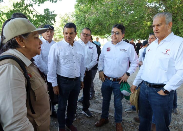 Victoria suma acciones de prevención y control de dengue