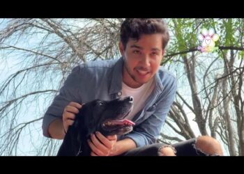 🐾 ¡Conoce a nuestros héroes caninos en adopción! 🐕✨