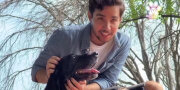 🐾 ¡Conoce a nuestros héroes caninos en adopción! 🐕✨