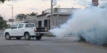 “Acciones contra el dengue son oportunas pero no hay que bajar la guardia”: SST