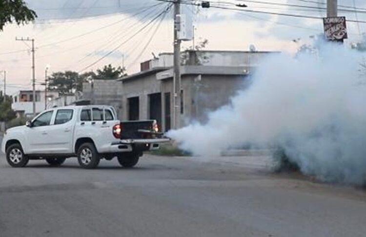 “Acciones contra el dengue son oportunas pero no hay que bajar la guardia”: SST